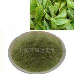 Dehydrated Mulberry Leave Powder For Food and Health Care Manufacturer Sale