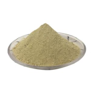 China Scallion Chicken Seasoning Powder Elevate Your Cooking Game on sale
