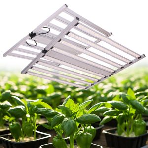 LED Light Spectrum For Vegetative Growth Full Spectrum 800W LED Grow Light