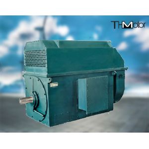 YKS450-2 Three Phase Asynchronous Motor High Voltage Electric Induction Motors