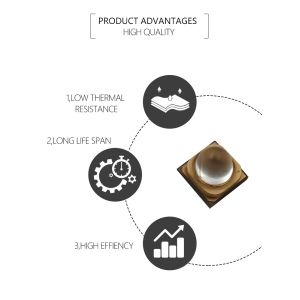3838 1W 3W UVA UV LED Chips 365nm 385nm 395nm SMD For Curing