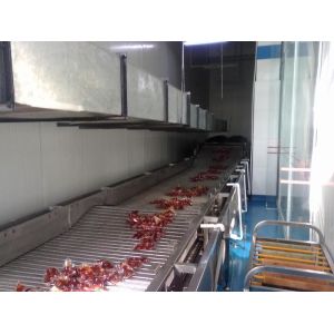 Movable Inclined Extendable Telescopic Endless Stainless Steel Goods Delivery