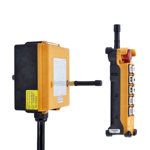 (2 double speed and 9 single speed) + Hoist Remote Control F26-B2 Telecrane