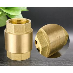 NPT 20 Bar Brass Vertical Spring Threaded Check Valve