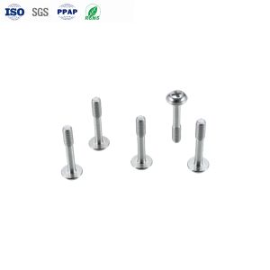 High Precision Custom Stainless Steel Phillips Pan Head Screws with Anti