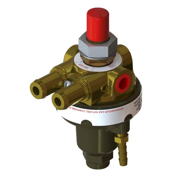 Quality IMPCO HPR3600 Regulator Fuel System Parts For Compressed wholesale