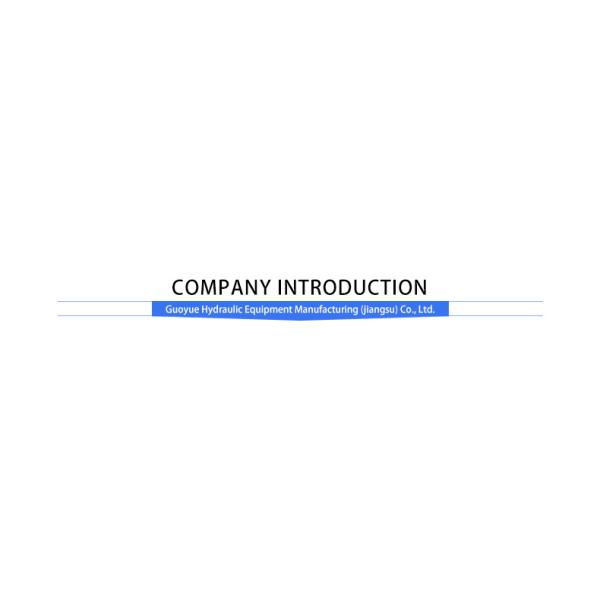 Customized 220 190-40 Locking Hydraulic Cylinder for Steel Rolling Mill