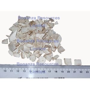 Freeze Dried Button Mushroom Flakes top grade GMP Factory Golden Supplier