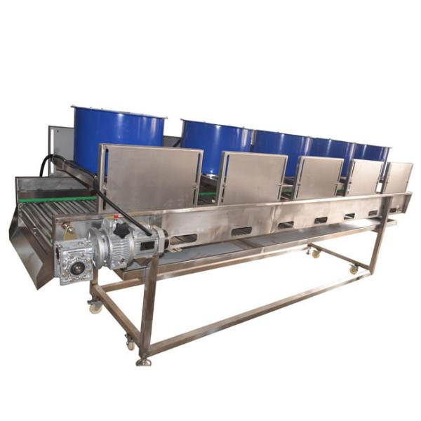 Quality 1500kg/H Dates Fruit Vegetable Drying Machine That Dried Fruit wholesale
