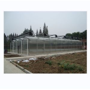 Cheap 4m Bay Width Polycarbonate Greenhouse Installation Drawing and Galvanized Steel Frame for sale