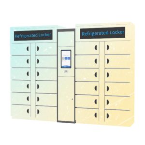 Winnsen Smart Refrigerated Cabinet Locker 240V Food Icecream Frozen Lockers