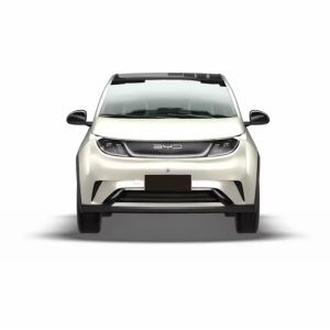 Compact Sedan Electric Car BYD Dolphin Electrico 2024 420KM Knight Edition for