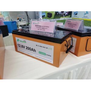 IP54 Custom Lithium Battery Pack 12V 100Ah LiFePO4 Lithium Iron Phosphate Car