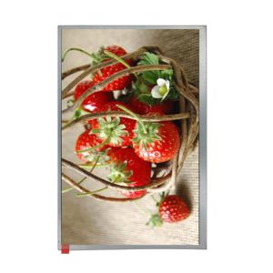 10.1 Inch 1024x600 Resolution Lcd Tft Module With Sunlight Readable