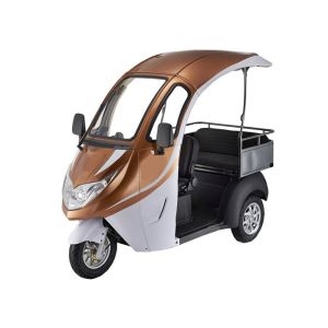 China Digital LED Display 1200W Brushless 3 Wheel Electric Tricycle on sale