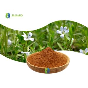 High Quality Bacopa Monnieri Extract 50% Bacopasides Powder