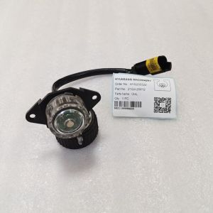 Dial Excavator Engine Parts 21Q4-20812 21Q4-20811 21Q4-20810 For R125LCR-9A