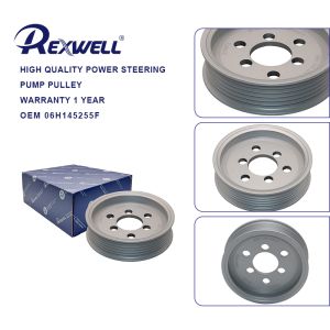 06H145255F Auto Power Steering Pump Pulley Fit For VW Transporter 2.0TDi 2010