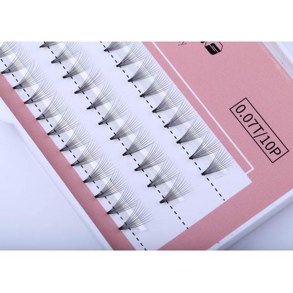 Custom Rapid Cluster Volume Eyelash Extensions 0.07mm 10D Synthetic Materials