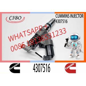 Construction Machinery Part N14 QSM ISM QSM11 ISM11 M11 Diesel Engine Parts