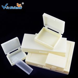 Medical Lab Stage Microscope Slide Female Mosquito Mouth Parts