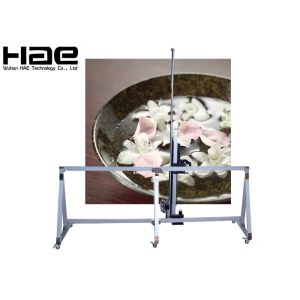 Customized Eco Solvent Zeescapes Vertical Wall Printer Machine Inkjet Type