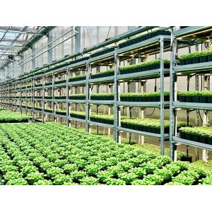 Changeable Color 5000K AC85V Quantum Grow Lights