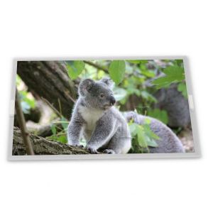 MV238FHB-N90 23.8 TFT LCD Display Modules TN Type with RGB Interface Complete Range of Industrial Screens from Gold Supplier