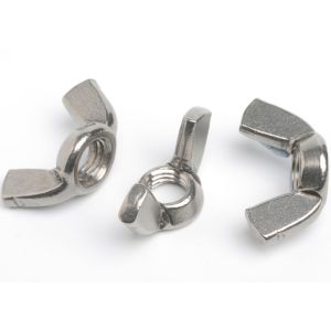 M16 M20 M24 Super Duplex Stainless steel Wing Nut Polished SS 2205 2507 904L