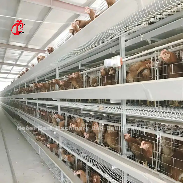 A Or H Type Automatic And Manual Poultry Farming Cage System Design For Chicken