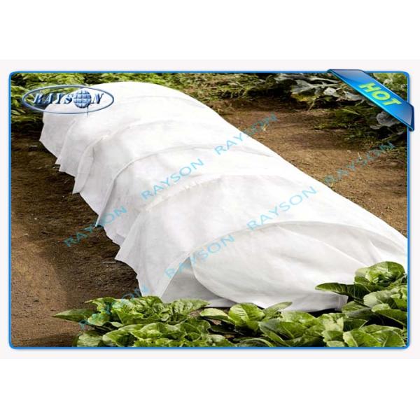 Eco Friendly Anti UV White Non Woven Landscape Fabric for Frost Fleece