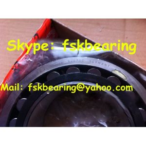 Performance Double Row Nylon Cage Reducer Bearings , GB40779S01