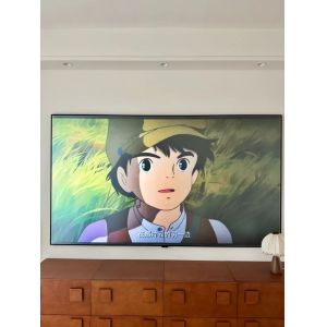 Fixed Frame Fresnel UST ALR Projector Screen