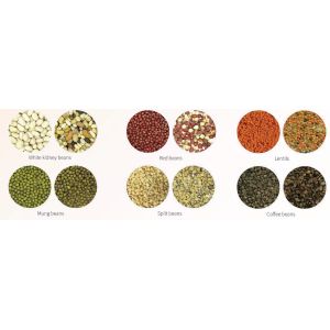 CCD 2.8KW 384 Ejectors Pulse Grain Sorting Machine