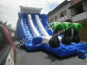 Cheap Hot Sell Inflatable palm tree slide ,Inflatable water slide,inflatable wet dry slide for sale