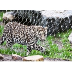 Stainless 304 Rope Mesh Custom Safety Steel Cable Netting 1m To 8m Width For