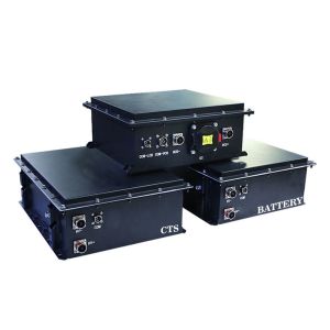 LiFePO4 Lithium Battery Rechargeable 48V 96V 307.2V 50AH 100AH 200AH For Marine