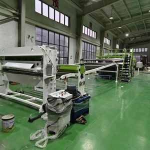 Used Plastic Extruder PP Pet Sheet Extrusion Line Continuous