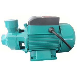China Low Pressure Micro Vortex Pump Single Stage For Garden Sprinkling / Pressure Boosting on sale