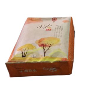 20kg 25kg PP Valve Bag with BOPP Printing for Tile Adhesive