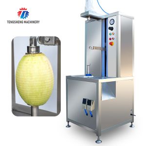 1.0KW 120KG Commercial stainless steel automatic pumpkin wax gourd pineapple