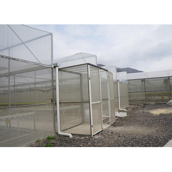 Quality Rain Resistant Hydroponic Greenhouse Systems With Galvanized Support wholesale