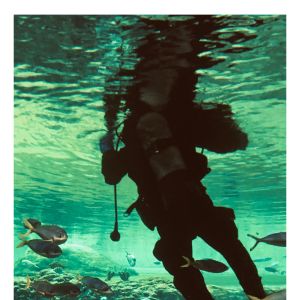 Flashlight Underwater Diving light High Lumens CRI90 36 28 RGB COB LED