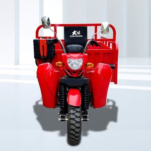 Cheap 250W Three Wheel Cargo Motorcycle with CCC Certification and 1000kg Loading Capacity for sale