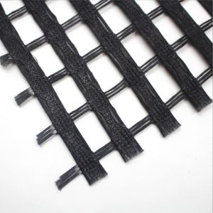 100-100kn High Tensile Strength Geogrids for Asphalt Pavement Reinforcement in