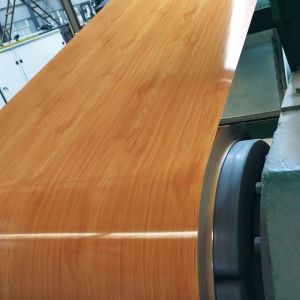 Width 600mm PPGI Galvanized Steel Coil 180 - 220Mpa Yield Strength