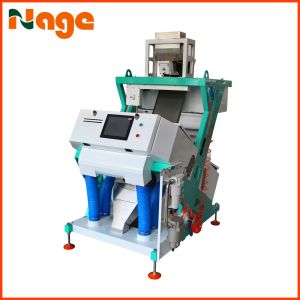 Professional Seeds Automatic Colour Sorting Machine With 1 Year Warranty