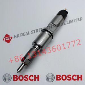 Original Diesel Common Rail Fuel Injector 0445120451 0445120376 0445120295 For