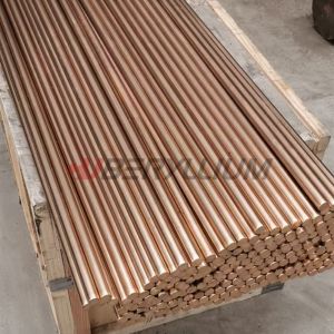 Td02 C17200 Beryllium Copper Rod Round For Low Maintenance Bearings Bushings