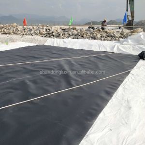 Waterproof Geomembrane for Artificial Pool Fish Pond Width 1m-8m Double Smooth